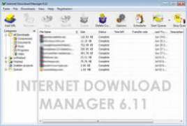 Internet Download Manager 6